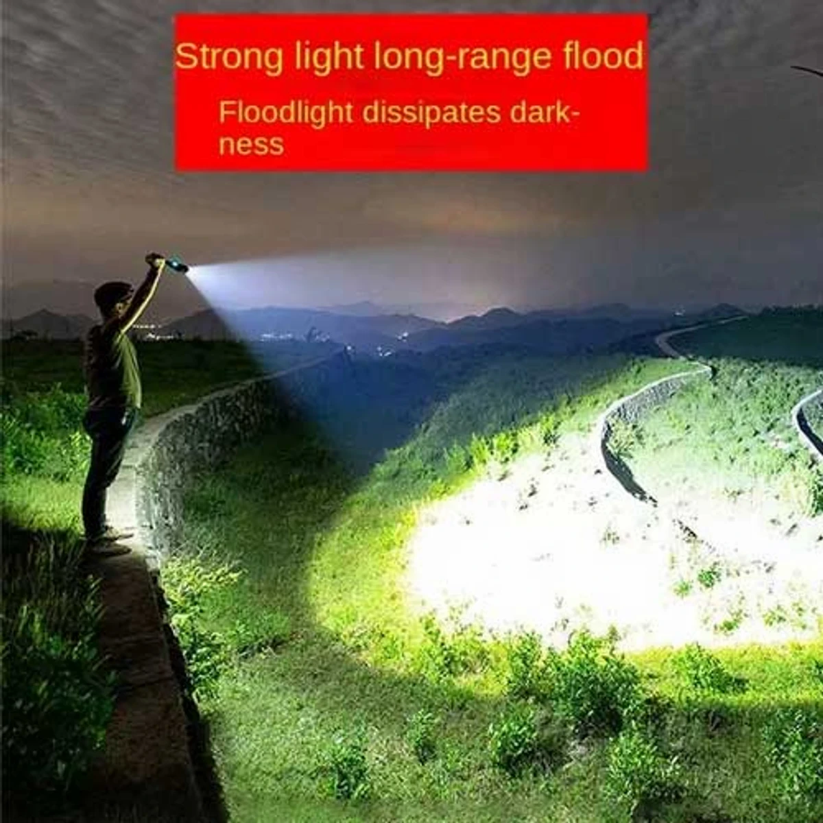 High Power Torch Light with 20000Mah Power Bank