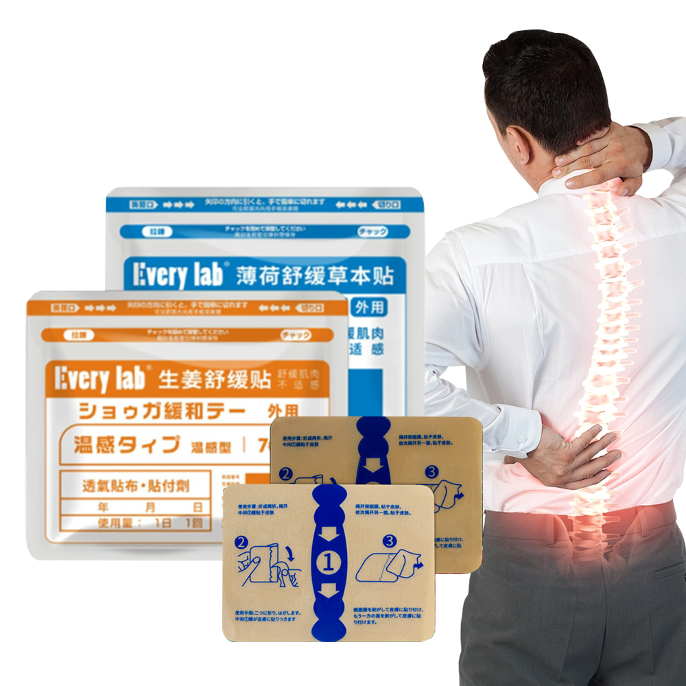 Original Japanese Back Pain Relief Patch ( 2 প্যাকেটে 14 পিস )